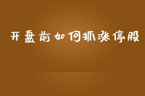 开盘前如何抓涨停股_https://wap.15771688.com_期货手续费一览表_第1张