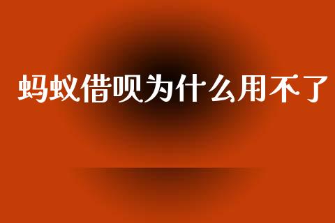 蚂蚁借呗为什么用不了_https://wap.15771688.com_国际期货_第1张