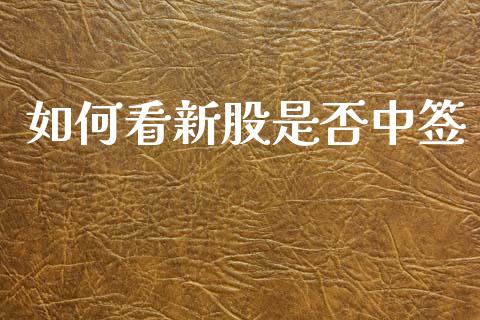 如何看新股是否中签_https://wap.15771688.com_国际期货_第1张
