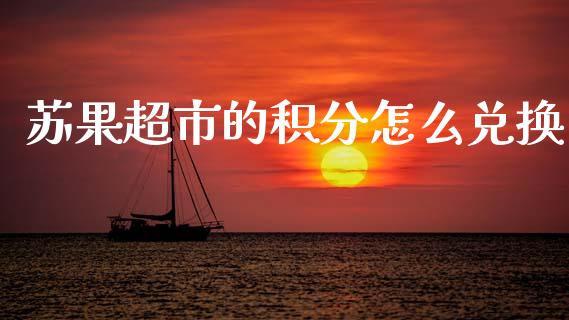 苏果超市的积分怎么兑换_https://wap.15771688.com_国际期货_第1张