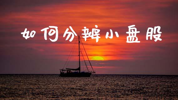 如何分辨小盘股_https://wap.15771688.com_国际期货_第1张