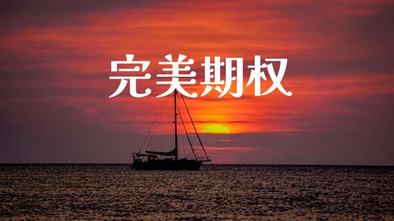 完美期权_https://wap.15771688.com_国际期货_第1张