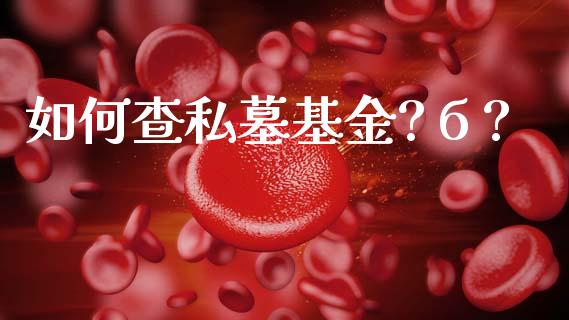 如何查私墓基金?б?_https://wap.15771688.com_国际期货_第1张