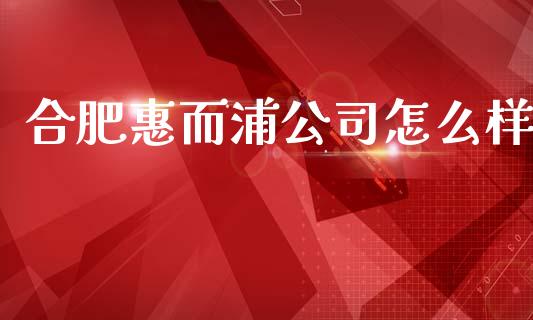 合肥惠而浦公司怎么样_https://wap.15771688.com_期货手续费一览表_第1张