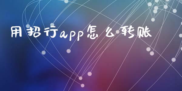 用招行app怎么转账_https://wap.15771688.com_期货手续费一览表_第1张