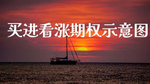 买进看涨期权示意图_https://wap.15771688.com_道指期货_第1张