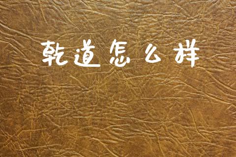 乾道怎么样_https://wap.15771688.com_原油期货直播室_第1张
