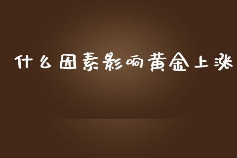 什么因素影响黄金上涨_https://wap.15771688.com_道指期货_第1张