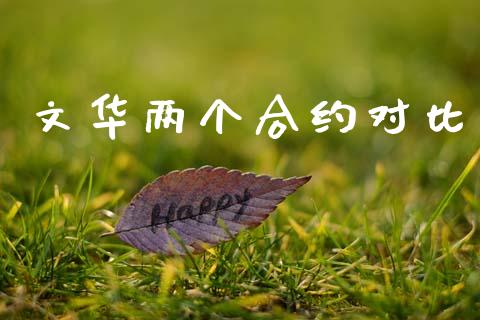 文华两个合约对比_https://wap.15771688.com_国际期货_第1张