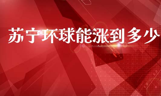 苏宁环球能涨到多少_https://wap.15771688.com_期货手续费一览表_第1张