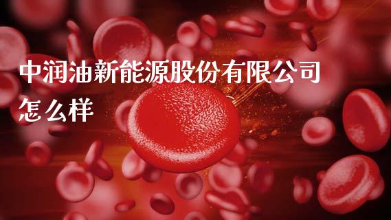 中润油新能源股份有限公司怎么样_https://wap.15771688.com_道指期货_第1张