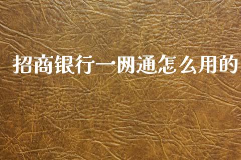 招商银行一网通怎么用的_https://wap.15771688.com_期货手续费一览表_第1张