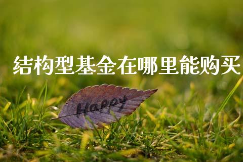 结构型基金在哪里能购买_https://wap.15771688.com_原油期货直播室_第1张