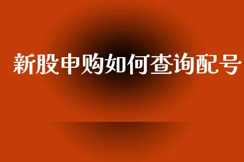 新股申购如何查询配号_https://wap.15771688.com_国际期货_第1张