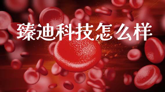 臻迪科技怎么样_期货手续费一览表_第1张_原油期货直播室_道指期_期货手续费一览表_国际期货 臻迪科技怎么样_https://wap.15771688.com_期货手续费一览表_第1张