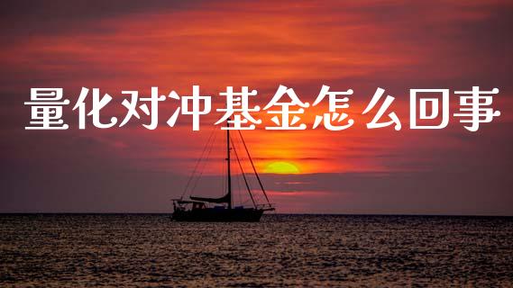 量化对冲基金怎么回事_https://wap.15771688.com_期货手续费一览表_第1张