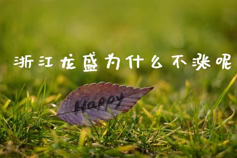 浙江龙盛为什么不涨呢_https://wap.15771688.com_道指期货_第1张