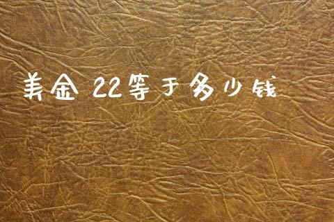 美金 22等于多少钱_https://wap.15771688.com_道指期货_第1张