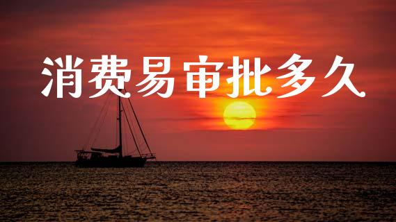 消费易审批多久_https://wap.15771688.com_道指期货_第1张