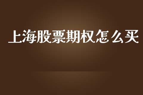 上海股票期权怎么买_https://wap.15771688.com_期货手续费一览表_第1张