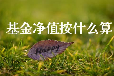 基金净值按什么算_https://wap.15771688.com_国际期货_第1张