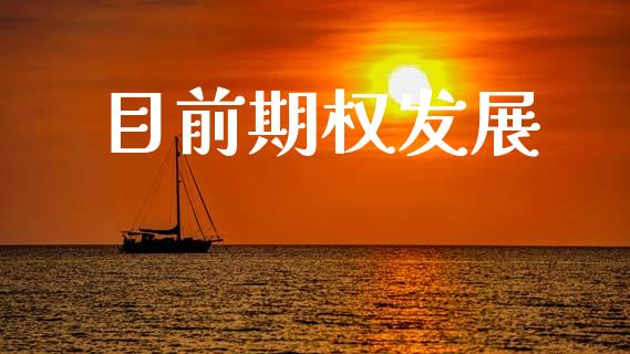 目前期权发展_https://wap.15771688.com_道指期货_第1张