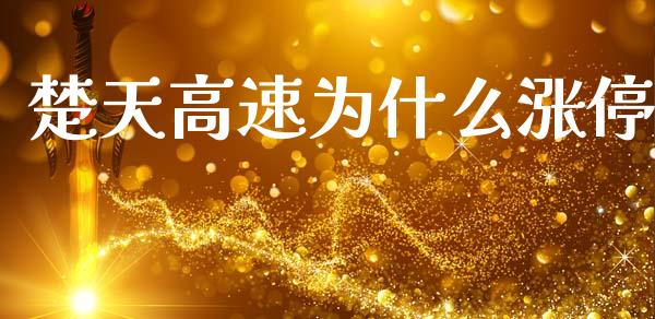 楚天高速为什么涨停_https://wap.15771688.com_期货手续费一览表_第1张