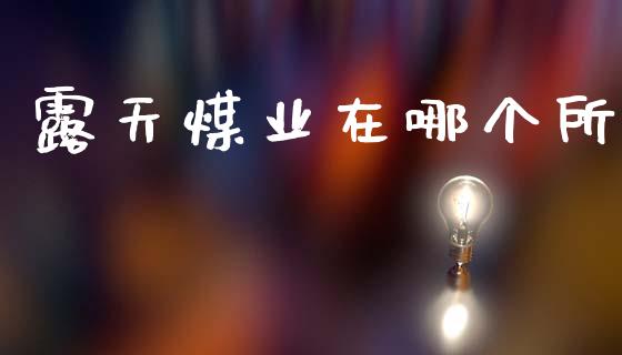 露天煤业在哪个所_https://wap.15771688.com_原油期货直播室_第1张