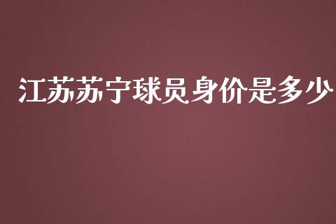 江苏苏宁球员身价是多少_https://wap.15771688.com_道指期货_第1张