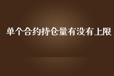 单个合约持仓量有没有上限_https://wap.15771688.com_道指期货_第1张