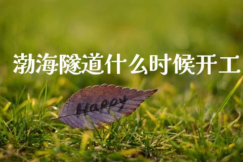 渤海隧道什么时候开工_https://wap.15771688.com_期货手续费一览表_第1张
