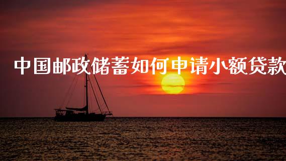 中国邮政储蓄如何申请小额贷款_https://wap.15771688.com_道指期货_第1张