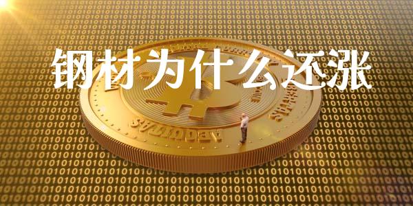 钢材为什么还涨_https://wap.15771688.com_国际期货_第1张