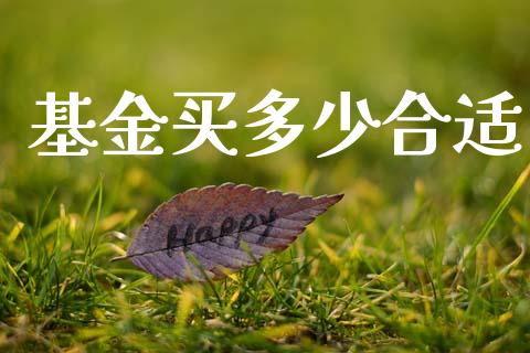 基金买多少合适_https://wap.15771688.com_原油期货直播室_第1张