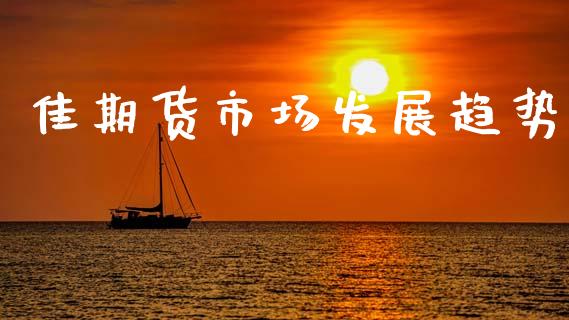 佳期货市场发展趋势_https://wap.15771688.com_期货手续费一览表_第1张