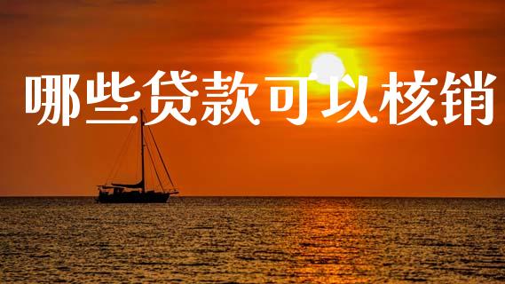 哪些贷款可以核销_https://wap.15771688.com_期货手续费一览表_第1张