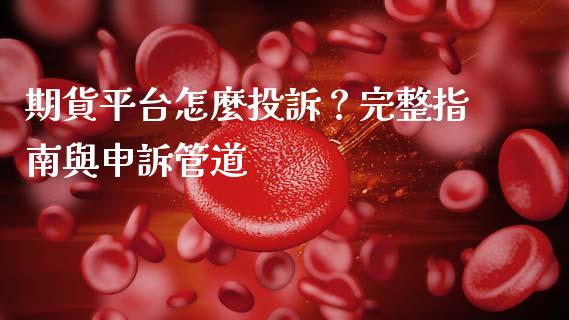 期貨平台怎麼投訴？完整指南與申訴管道_https://wap.15771688.com_期货手续费一览表_第1张