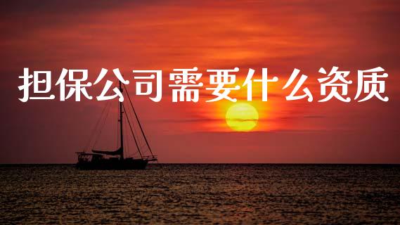 担保公司需要什么资质_https://wap.15771688.com_原油期货直播室_第1张