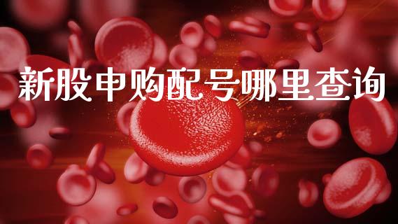 新股申购配号哪里查询_https://wap.15771688.com_期货手续费一览表_第1张