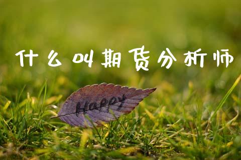 什么叫期货分析师_https://wap.15771688.com_道指期货_第1张