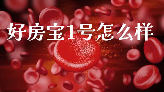 好房宝1号怎么样_https://wap.15771688.com_国际期货_第1张