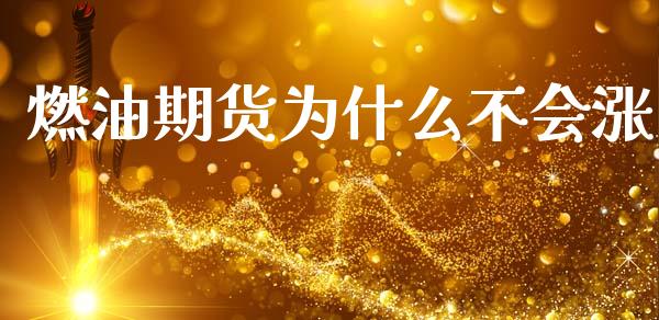 燃油期货为什么不会涨_https://wap.15771688.com_期货手续费一览表_第1张