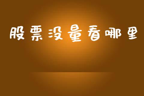 股票没量看哪里_https://wap.15771688.com_原油期货直播室_第1张
