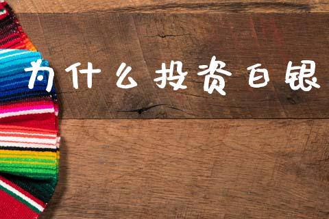 为什么投资白银_https://wap.15771688.com_期货手续费一览表_第1张
