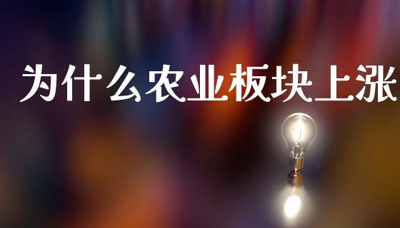 为什么农业板块上涨_https://wap.15771688.com_期货手续费一览表_第1张