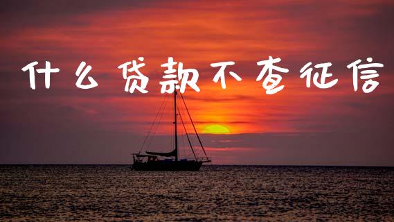 什么贷款不查征信_https://wap.15771688.com_道指期货_第1张