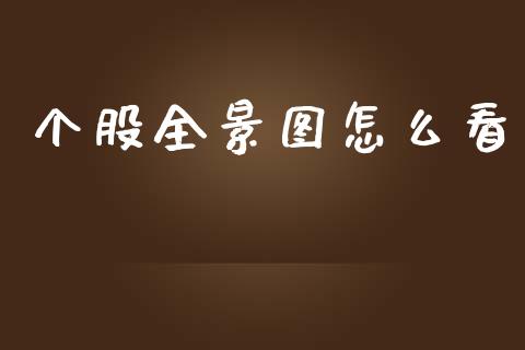 个股全景图怎么看_https://wap.15771688.com_国际期货_第1张