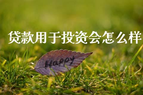 贷款用于投资会怎么样_https://wap.15771688.com_道指期货_第1张