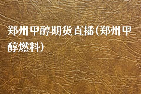 郑州甲醇期货直播(郑州甲醇燃料)_https://wap.15771688.com_期货手续费一览表_第1张