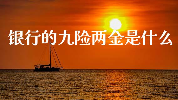 银行的九险两金是什么_https://wap.15771688.com_道指期货_第1张